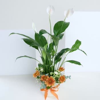 Yanlış Çiçek Aranjmanı Ve Yetersiz Müşteri Hizmeti