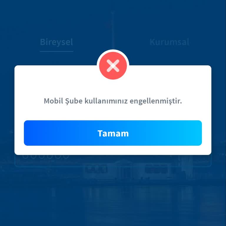Halkbank'ın Ufak Borç Nedeniyle İnternet Bankacılığı Engeli