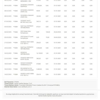 ParaPuan İadesi Sorunu