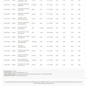 ParaPuan İadesi Sorunu