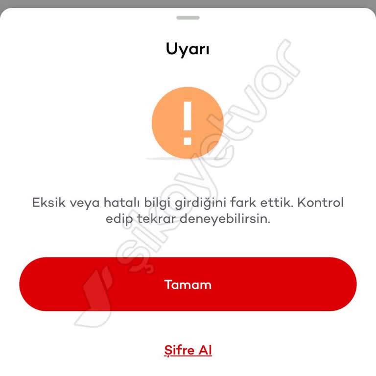 Mobil Şube Giriş Sorunu: Acil Destek Bekliyorum