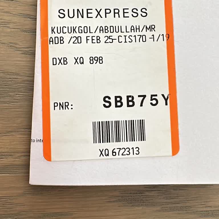 SunExpress Lost Luggage Issue – Urgent Resolution Required