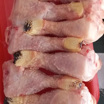 Şenpiliç Tavuklarında Kararma Ve Sağlık Tehdidi