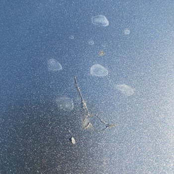 Garanti Kapsamında Olmayan PPF Sorunu