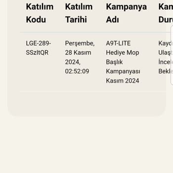 LG Kampanya Sürecinde Yaşanan Sorunlar
