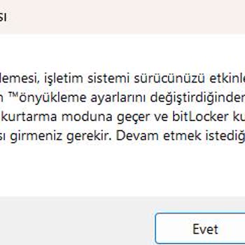 İşlemci Ayarı Sonrası Kurtarma Modu Şoku