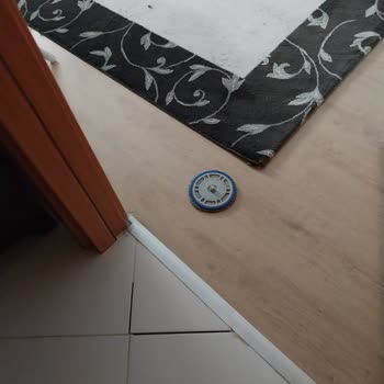 Ecovacs Robot Süpürge: Sürekli Sorunlar Ve Yetersiz Destek