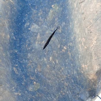 Lassa Lastiklerin Erken Çatlama Sorunu