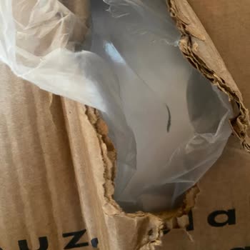 Hasarlı Buzdolabı Ve Yetersiz Müşteri Hizmeti