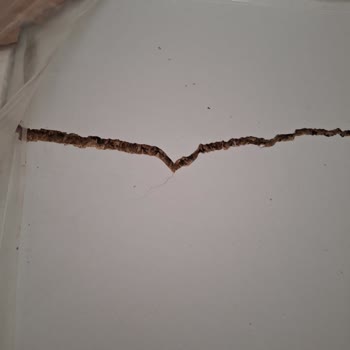 Beyaz Eşyalarda Kırık Ve Yetersiz Müşteri Hizmeti