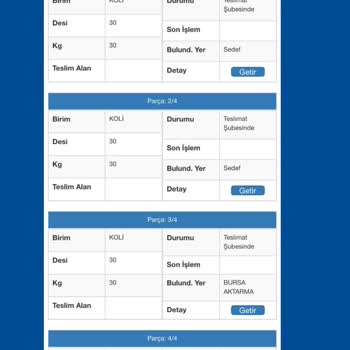 Kayıp Kargo: Hayati Öneme Sahip Lastiklerim Teslim Edilmiyor!
