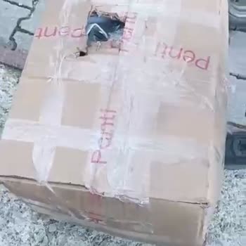 Kargo Hasarı Ve Yanlış Tutanakla Mağduriyet