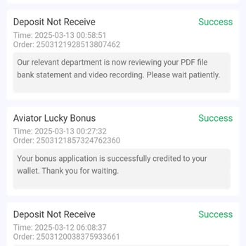 BDG Win Not Crediting My Deposit Despite Submitting Proof