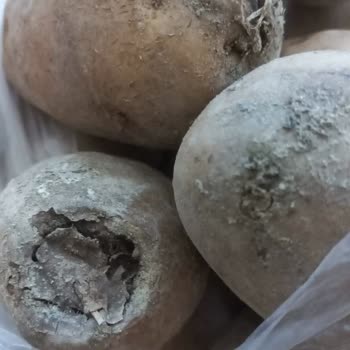 Migros Sanal Market: Sürekli Çürük Ürünler Ve İlgisiz Hizmet