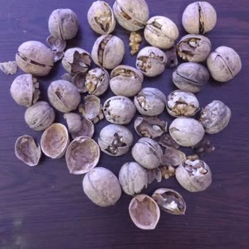 Migros Sanal Market: Sürekli Çürük Ürünler Ve İlgisiz Hizmet