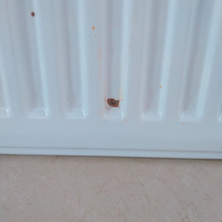 ECA Radyatörlerde Delinme Ve Yetersiz Müşteri Hizmeti