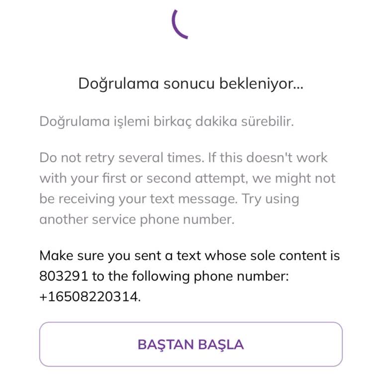 Pi Network Pi Coin Hesap Doğrulama Sorunu