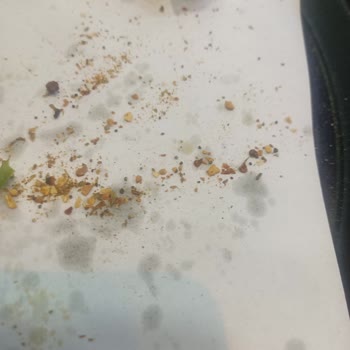 51 TL'ye 6 Dilim Patates: Müşteri Dalga Geçildiğini Düşünüyor
