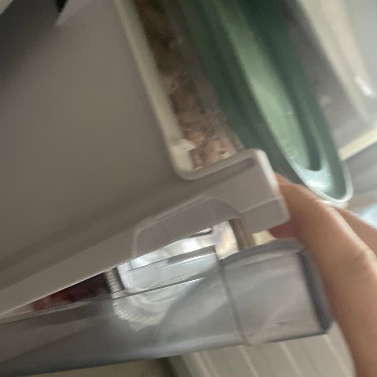 Buzdolabı Buzluk Çekmecesi Ve Raf Sorunları