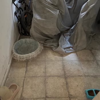 Mavişehir Soyak'ta Kontrolsüz Kedi Artışı Ve Hijyen Sorunu
