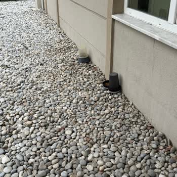 Mavişehir Soyak'ta Kontrolsüz Kedi Artışı Ve Hijyen Sorunu