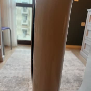 Dyson Servis Kabusu: Gürültü Ve Hasar Sorunları