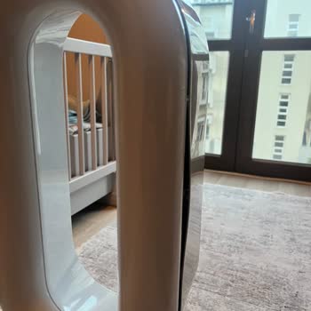 Dyson Servis Kabusu: Gürültü Ve Hasar Sorunları