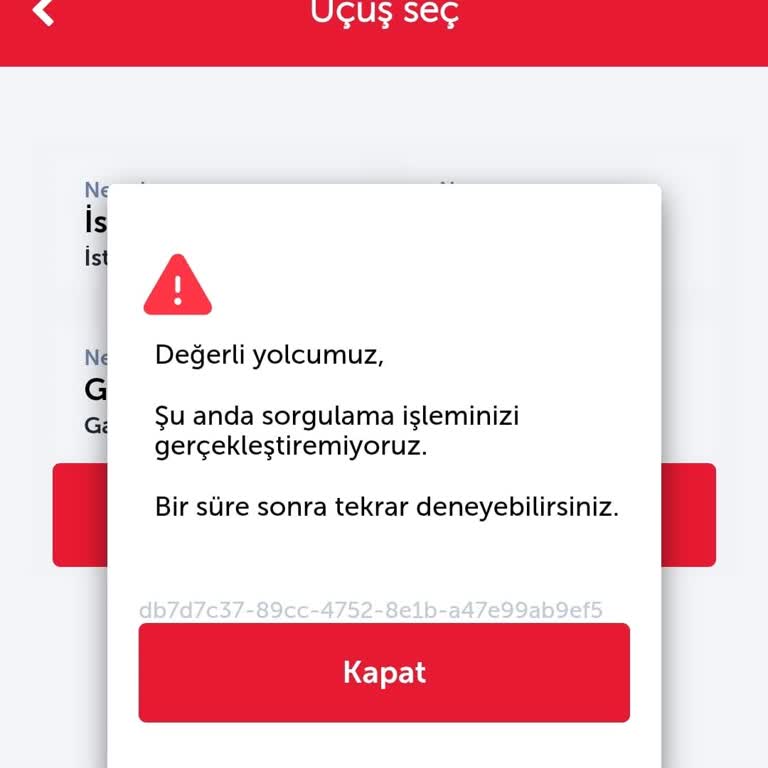 THY Bilet Değiştirme Sorunları Ve Erişim Engelleri