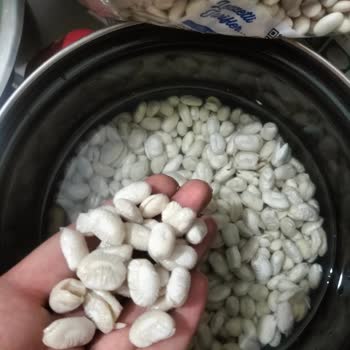 Hayal Kırıklığı Yaratan Hasata Kuru Fasulye Deneyimi