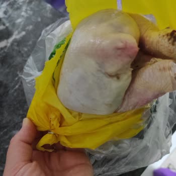 Bozuk Tavuk Ve İlgisiz Müşteri Hizmeti