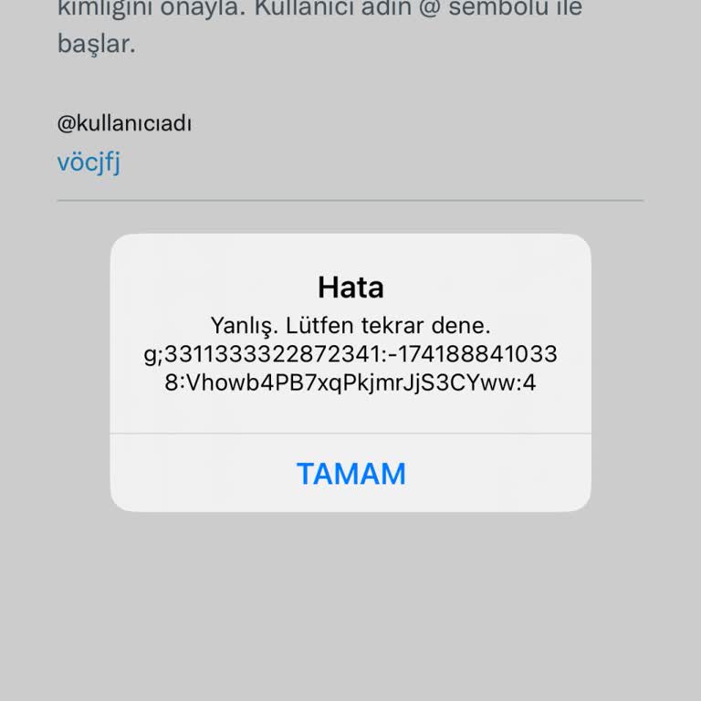 Twitter Hesap Erişim Sorunu Ve Doğrulama Engeli
