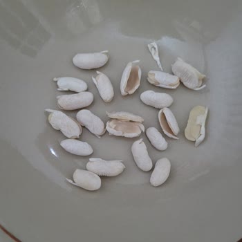 Kuru Fasulye Skandalı: Güvenilir Marka Hayal Kırıklığı Yarattı