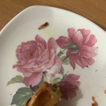 Şenpiliç Schnitzel Ürününde Beklenmedik Kemik Parçası