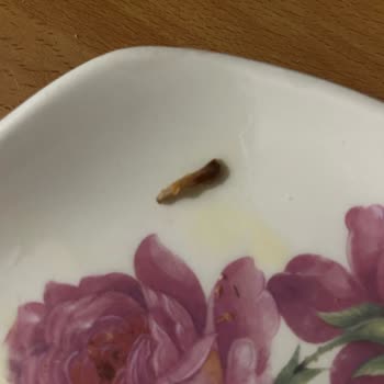 Şenpiliç Schnitzel Ürününde Beklenmedik Kemik Parçası