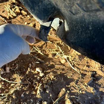 Erkunt Traktör Lastik Sorunu Ve Garanti Desteği Eksikliği