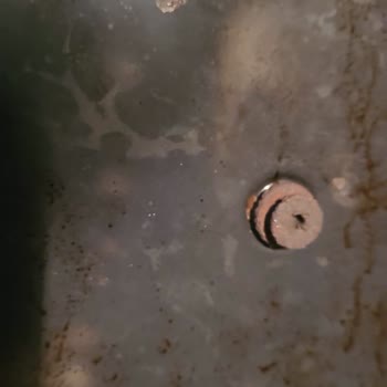 Paslanan Fırın Ve Garanti Sorunları