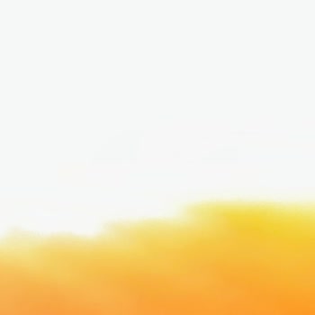 Ford Transit Custom'da Bitmeyen Sorunlar Ve Servis Yanıtları