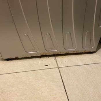Vestel Çamaşır Makinesi Paslanma Ve Servis Sorunu