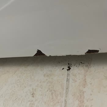 Bosch Çamaşır Makinesi: Garanti Kapsamında Küf Sorunu Ve Mağduriyet Talebi