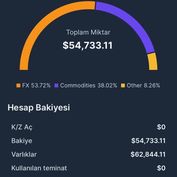 Destek Global Ltd. İle Yaşanan Para Transferi Sorunu