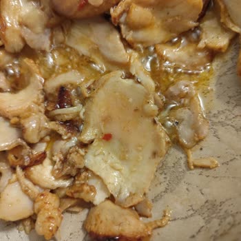 Banvit Çiğ Tavuk Döner Skandalı: Sağlık Tehlikesi