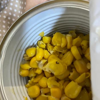 Konserve Mısırda Böcek Ve Kötü Koku Şoku