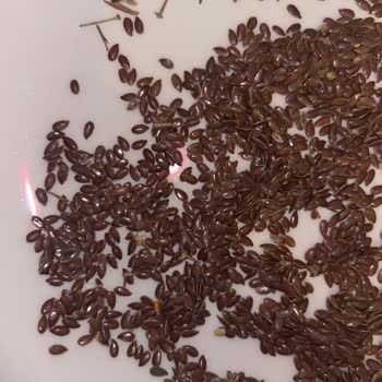Yayla Bakliyat Keten Tohumunda İğne Gibi Çöpler