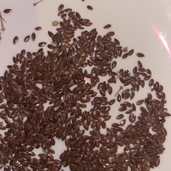 Yayla Bakliyat Keten Tohumunda İğne Gibi Çöpler