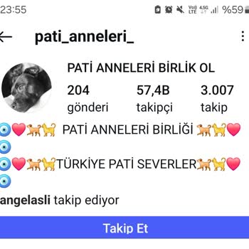 Pati Anneleri Birliği'nin Şüpheli Para Talebi Ve Yanıltıcı Faaliyetleri