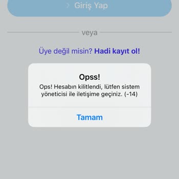 Erişim Sorunu Ve Kilitlenen Hesap İçin Acil Destek Arayışı
