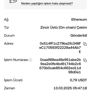 Pi Meme Ön Satışında USDT Gönderimi Hesaba Yansımadı