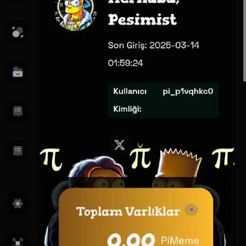 Pi Meme Ön Satışında USDT Gönderimi Hesaba Yansımadı