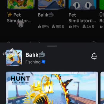 Oyuna Girilmiyor - Roblox
