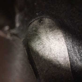 Tehlikeli Ayakkabı: Tonny Black'ten Şikayet